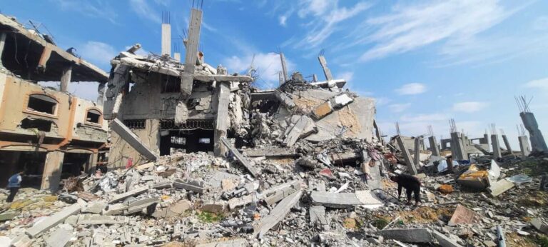 Donate to Gaza Give Us a Chance at a Fresh Start